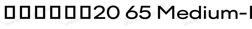 阿里巴巴惠普20 65 Medium字体转换